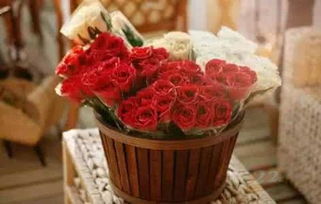 花點(diǎn)時(shí)間 上線兩年用戶破500萬(wàn)，B輪融資引領(lǐng)禮品花卉銷售新潮流